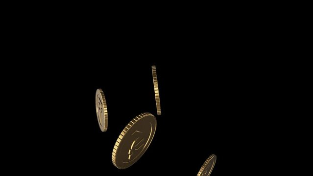 appear Falling Indian Rupee coin 3D Animation With Alpha Channel