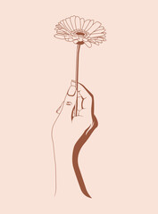 hand drawn illustration of women's hand holding flower