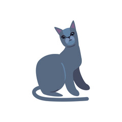 flat cat design