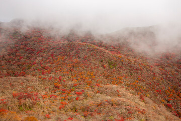 九重山 黒岳天狗岩からの紅葉の景色