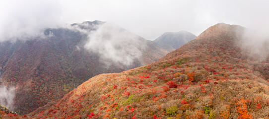 九重山 黒岳天狗岩からの紅葉の景色