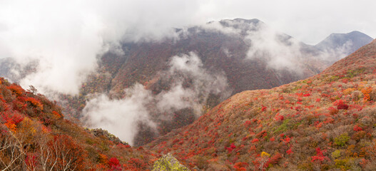 九重山 黒岳天狗岩からの紅葉の景色
