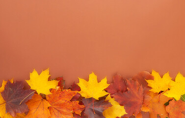 Naklejka na ściany i meble Autumn background with colorful maple leaves. Free space.