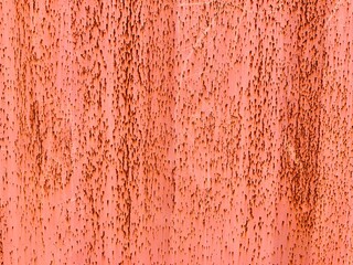 Rust formation in old iron metal door in the garden. Red color painted door with rustic formation and peel offs. Red wall texture.
