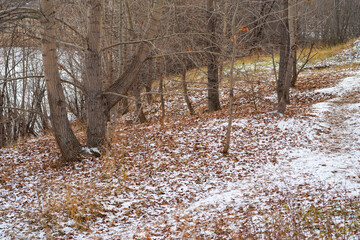 Snow fell in the park on the grass and fallen leaves in autumn.