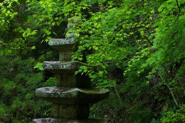 石造五重塔ともみじ