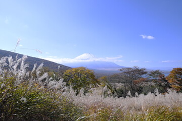 富士山とススキの風景