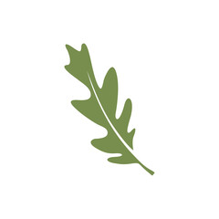 a clean and simple illustration of oak leaves