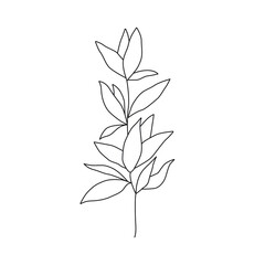 Continuous One Line Drawing of Leaves Branch. Abstract Line Art of Flower with Leaves in Modern Style. Vector Drawing of Simple Flower For Beauty Logo Design, Printing, T-shirts, Postcard, Poster 