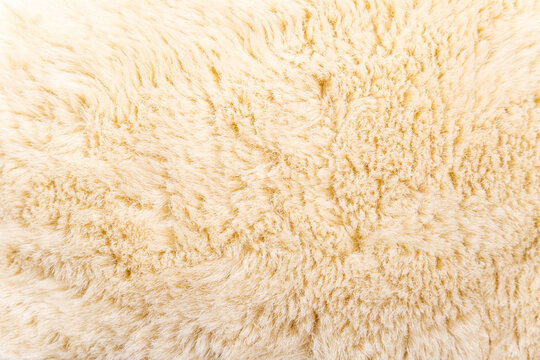White wool texture background, light natural sheep wool, white seamless cotton, texture of fluffy fur for designers, close-up fragment white wool carpet. High quality photo