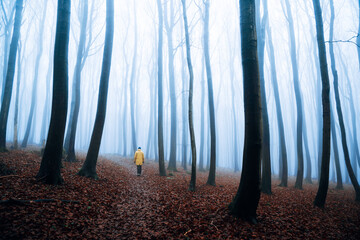 Mann steht im nebligen Wald in einer gelben Jacke