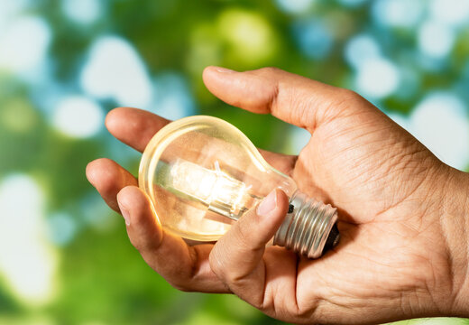 Close up photo of shining lightbulb with nature background as a symbol of reduce energy consumption. Concept of save or protect planet or world.