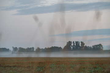 fog over the meadow