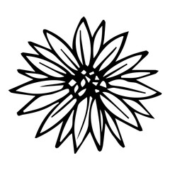 Hand-drawn doodle flower. Vector illustration