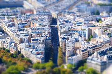 Fototapeta premium Paris Vogel