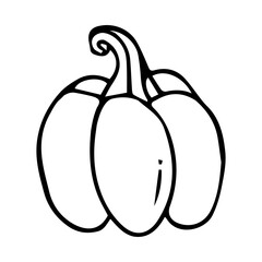 Doodle pumpkin. Hand-drawn autumn decoration. Halloween and Thanksgiving day. Vector illustration