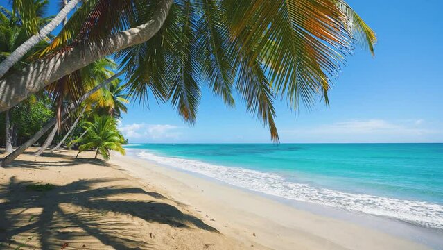 Summer sunny landscape of a tropical beach. Bounty palms on the Caribbean coast. Blue sea wave on a white sandy beach. Shadows of palm trees on the sand. Wild tropical island beach.