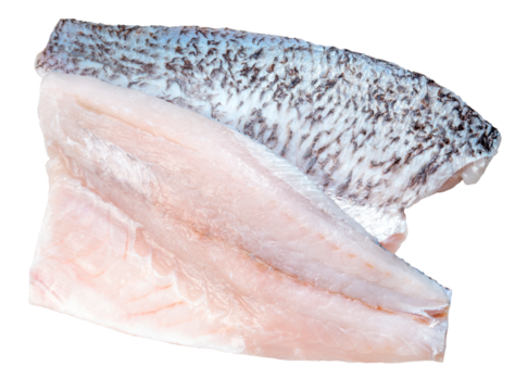 Fresh sea bass fillet sliced ready to cook, Fresh white striped bass fish on white background PNG file.