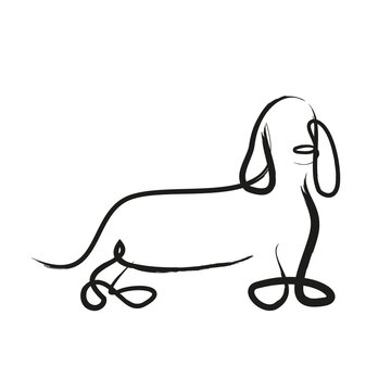 Jamnik. Szkic. Ilustracja wektorowa.