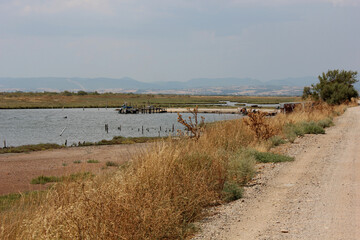 Delta Evros National Park, Evros Thraki Greece