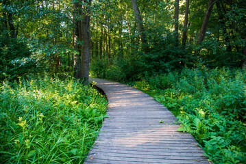 Obraz premium Beautiful park in Wejherowo town, Poland