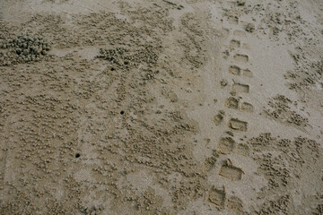 tire tracks in the sand at beach