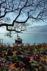 Jezioro Montreux Szwajcaria - obrazy, fototapety, plakaty