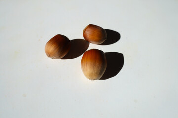 Brown fully ripe unpeeled hazelnuts (three items)