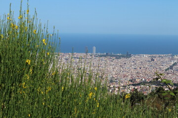 A bird's-eye view of Barcelona