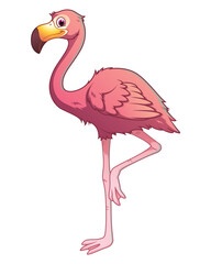 Flamingo Cartoon Animal Illustration