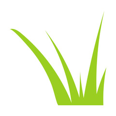 young greenery grass pattern. Vector illustration of plants. Floral borders isolated on white. Nature environment