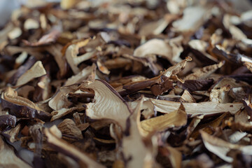 dried forest mushrooms cut into slices