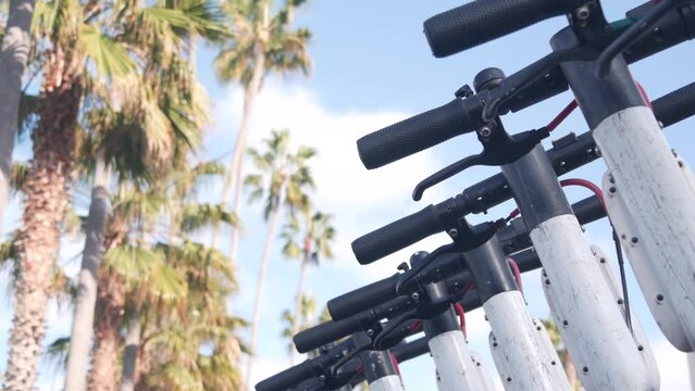 Row of rental electric scooters parked on street sidewalk, many palm trees in city near Los Angeles, California, USA. Shared e-scooters or bike for rent and ride, micromobility vehicle as transport.