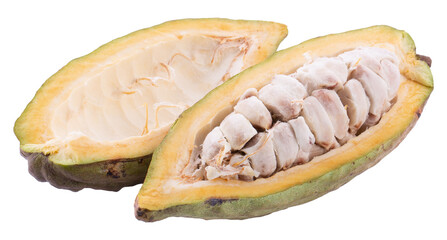 Cocoa fruit, raw Cacao beans, Cocoa pod. Fresh cocoa fruits isolated on a transparent background
