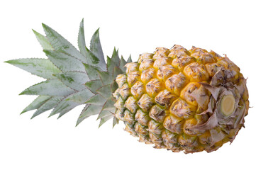 Pineapple fruit and Pineapple slices isolated on a on transparent background