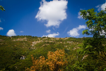 Obraz premium Vista lungo il sentiero (Orrido di Cupi di Fiamma) sul Monte Nerone