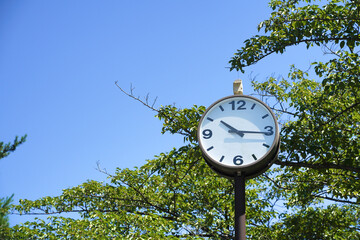 公園にある大きな丸型時計