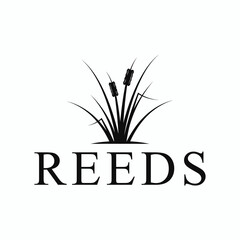 illustration of a plant. Simple reeds logo on white background.