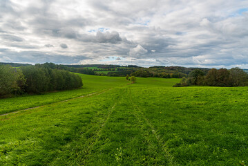 Early autumn rural landscape with meadow, forest, smaller hills and blue sky with clouds