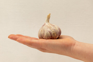 Womans hand holding a garlic clove on a white background