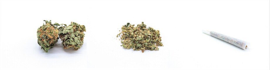 process of making a marijuana joint on white background. concept chopped weed, buds and marijuana cigarette
