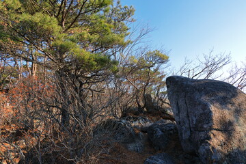 대한민국 경상북도 대구에 있는 팔공산의 아름다운 가을 풍경이다.