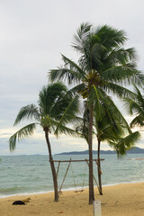 Obraz premium Palm Tree on Cloudy Sea Background. Bad Weather in the Tropics