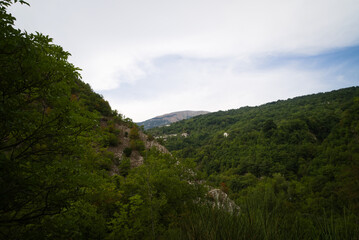 Fototapeta na wymiar Vista lungo il sentiero (Orrido di Cupi di Fiamma) sul Monte Nerone