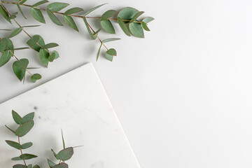 Empty marble podium and green eucalyptus branches on light grey background top view. Fresh natural...