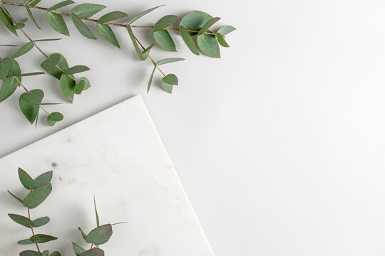 Empty marble podium and green eucalyptus branches on light grey background top view. Fresh natural mockup for cosmetic product advertising. Eco concept. Copy space for text.