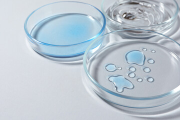 Petri dishes with color liquids on white background, closeup