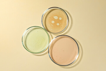 Petri dishes with color liquids on beige background, flat lay