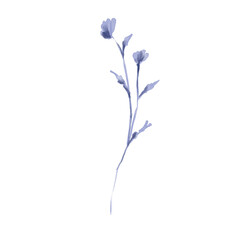Watercolor illustration of navy blue meadow flower