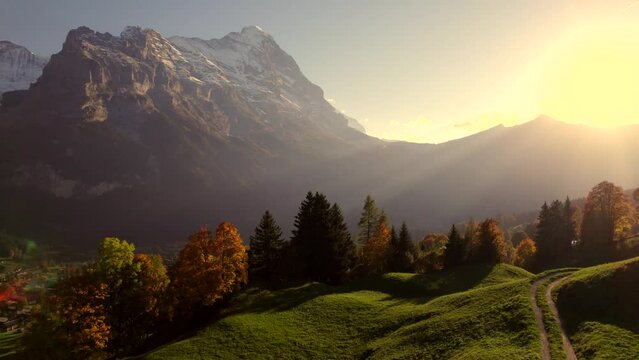 aerial drone footage pushing in over spruce and sycamore trees revealing view of Grindelwald and Eiger North Face, Switzerland